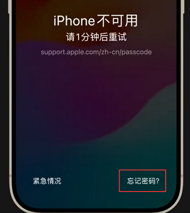 北仑苹果手机密码维修分享iPhone忘记了刚设置的密码 