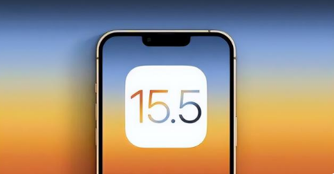北仑苹果手机维修分享iOS15.5 RC版升级建议 