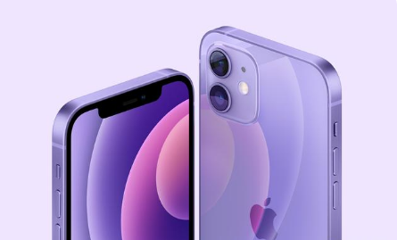 北仑苹果手机维修分享紫色版iPhone 12有什么技术亮点 